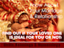 do a match making report using vedic astrology or numerology
