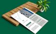design a professional flyer for business and events