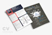 design an outstanding infographic resume CV design under 24h