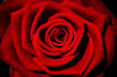 shamanic healing soul retreival power