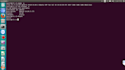 do anything ubuntu linux