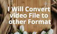 convert video to any other video format