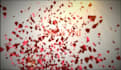 create stunning motion graphics videos for ads and social media