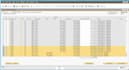 do anything in sap business one