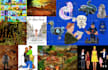 draw realistic, freehand or vector illustrations