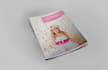 design professional magazine in adobe indesign