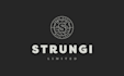 design an awesome custom logo