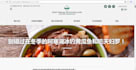 translate eng website into chinese professionally