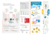 design a unique customized infographic