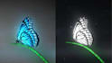 create an amazing butterflies logo intro animation