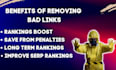professionally audit harmful links and disavow bad backlinks