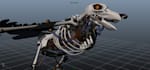 model any 3d character you want