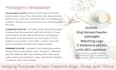 set up etsy shop or overhaul with SEO