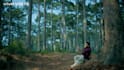 do professional film, TV commercial color grading