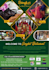 design attractive poster, flyer for your business