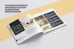 design a professional indesign brochure, flyer, or catalog