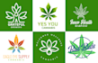 design green cbd medical cannabis, hemp natural, herbal logo
