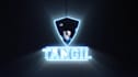 create 10 amazing video intro outro logo animation