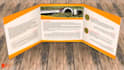 create an outstanding flyer design, brochure, poster