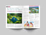 design creative and eye catchy magazine