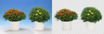 do background removal fast