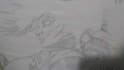 do you want a drawing made with graphite pencil