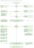 provide business improve plan with visio lucidchart and miro