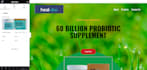create wordpress website design with animation, SEO, with elementor, figma