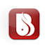 we are professional web development and SEO expert