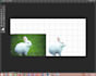edit your photo quikly