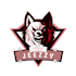 create a cheap and professional esports logo
