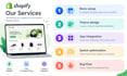 do shopify theme and apps development