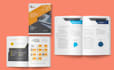 design professional brochure, report, white paper, booklet