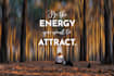 design social media photos with quotes