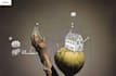 make a detailed illustration