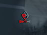 create a professional logo design