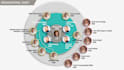 create process map, organizational chart infographics in ppt