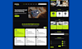 design a professional figma website design