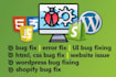 fix wordpress bugs and SEO issues