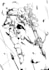 draw a cool black and white anime manga style