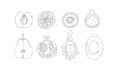 illustrate any image in doodle style