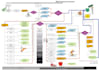make flow chart and visual article with your content