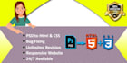 do html,css bug fixing of your website