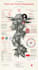do an amazing illustrated poster for you