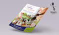 design a professional flyer or brochure for your business