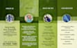 be your exclusive graphic designer for your rebranding needs