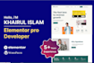 develop a website and fix  your elementor or wordpress issues