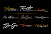 do script handwriting cursive boutique signature logo design