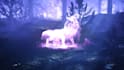 video intro outro of horse, wolf, lion or panther, logo animation