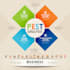design pro infograph in fabulous style